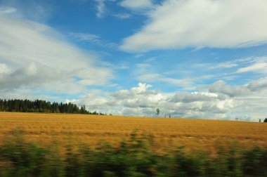 İsveç 'in Gündüz Sahnesi