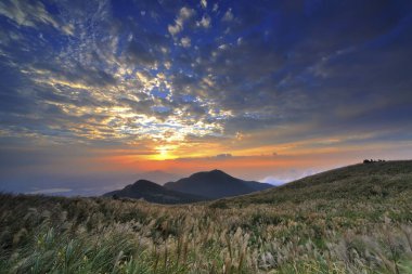 Alacakaranlıkta Yangmingshan Milli Parkı