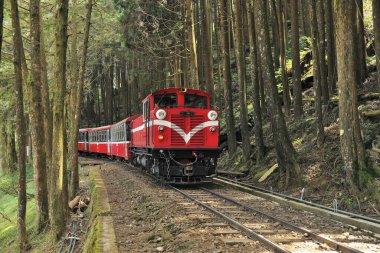 Alishan Ulusal Orman Dinlenme Bölgesi 'nde küçük bir tren.