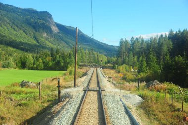 Yeşil dağlardan geçen demiryolu.