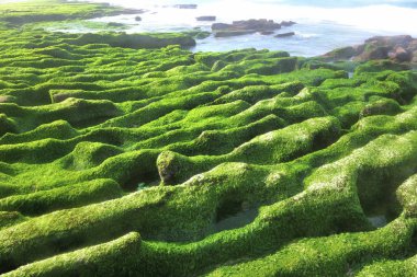 Shihmen 'deki Laomei Yeşil Resifi