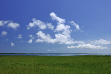 Penghu otlağı aydınlık bir günde