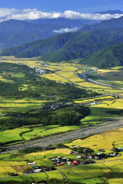 Çiftliğin yüksek açılı görüntüsü