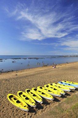 Sarı tekneler sahilde