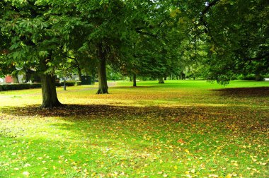 Curgarden, İsveç 'te park manzarası.