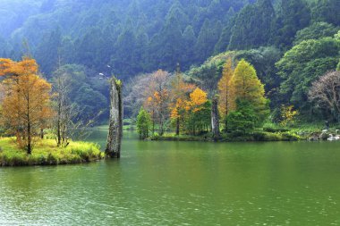 Parkın manzaralı görüntüsü