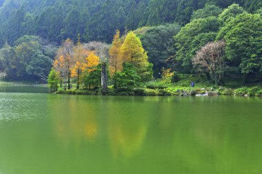 Parkın manzaralı görüntüsü