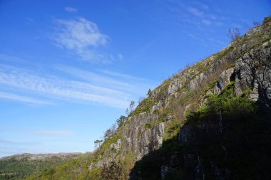 Norveç 'in Preikestolen dik uçurumunu gözlemliyorum..