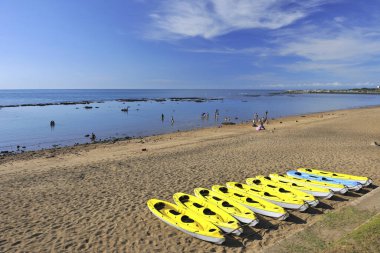 Sarı tekneler sahilde