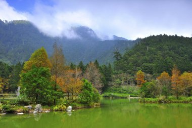 Parkın manzaralı görüntüsü