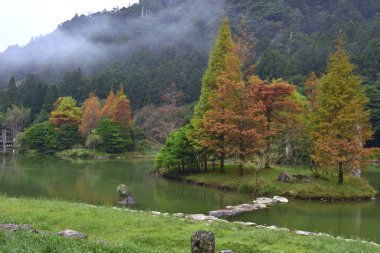 Mingchi Ulusal Orman Dinlenme Alanı