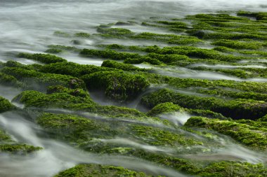 Shihmen 'deki Laomei Yeşil Resifi