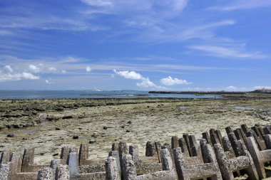 Jibei Adası 'nda sel sularıyla dolu bir sahil.