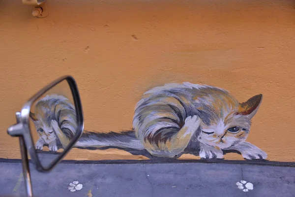 Дзеркальне відображення картини кішки на стіні — стокове фото