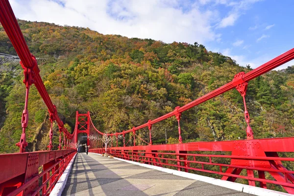 Ponte Suspensa Vermelha Montanhas Verdes — Fotografia de Stock