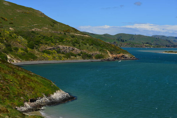 High angle shot of the beautiful scenic view in Royal Albatross Centre