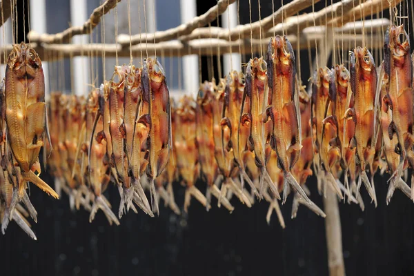 Sun-dried fish Orchid Island — Stok fotoğraf