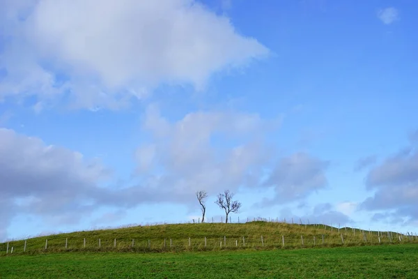 Landschaft Des Frühlingsfeldes Oslo Norwegen — Stockfoto