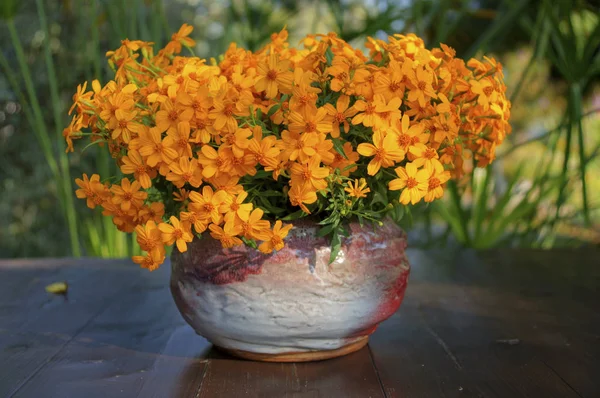 Arrangement Fleurs Vase Céramique — Photo