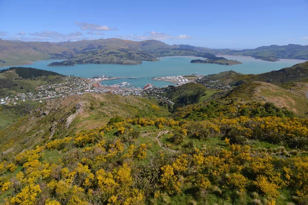 Góra Christchurch Nowej Zelandii — Zdjęcie stockowe