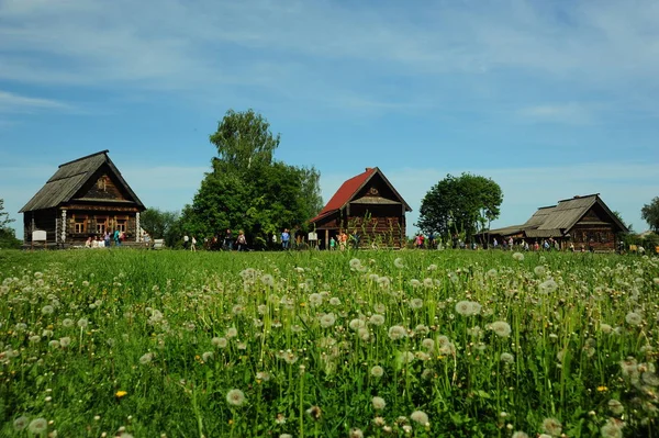 Muzeum Architektury Drewnianej i Życia Wiejskiego — Zdjęcie stockowe