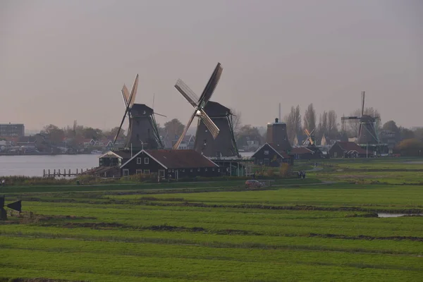 Observando Vista Dos Moinhos Vento Holanda — Fotografia de Stock