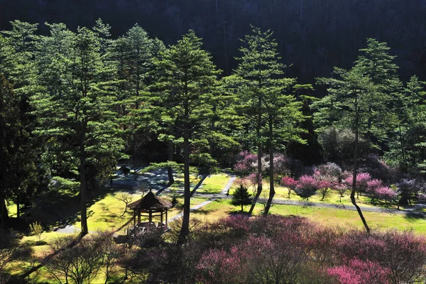 Escénica toma de Wuling granja de la ciudad — Foto de Stock