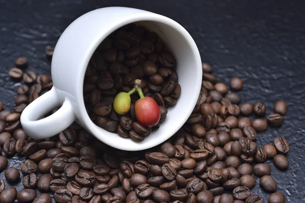 Kaffebönor Med Vit Kopp Mörkt Bord — Stockfoto