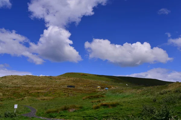 Side shot of the beautiful scenic view in Royal Albatross Centre — Stockfoto