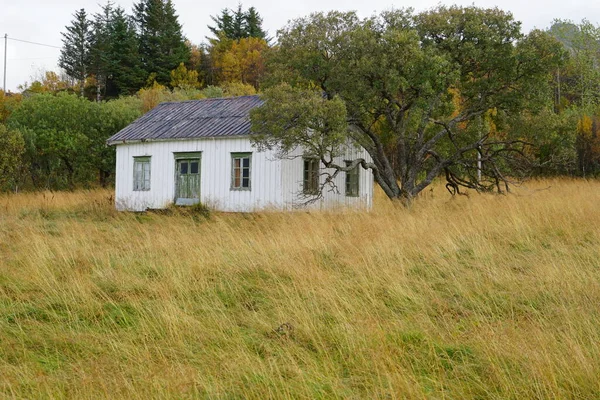 草原に放棄された家 — ストック写真