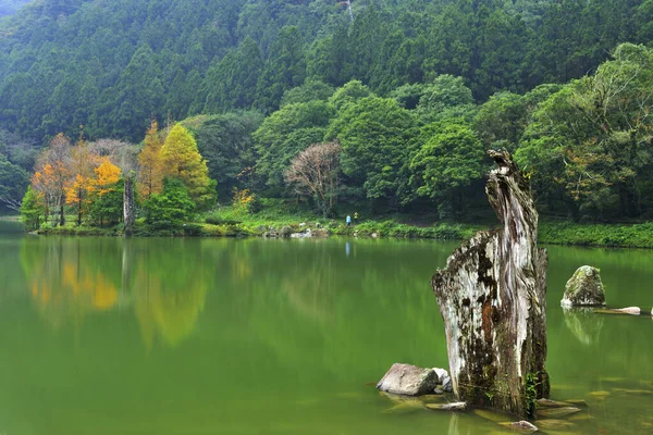 Escénica Toma Del Parque Con Lago Verde — Foto de Stock