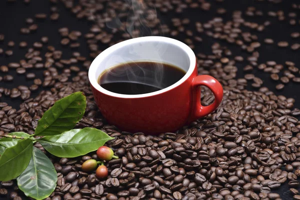 Kaffebönor och kaffe — Stockfoto