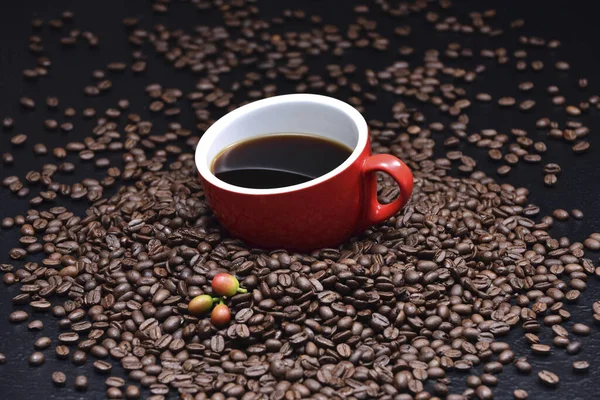 Kaffebønner og kaffe – stockfoto