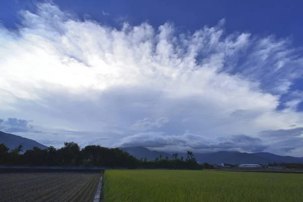 Сценический снимок голубого неба с белым облаком и зеленой фермой — стоковое фото