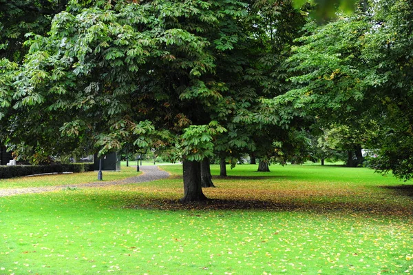 Vue Dans Parc Verdoyant Djurgarden Suède — Photo