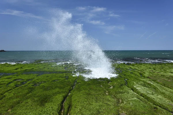Зеленый риф Лаомея — стоковое фото