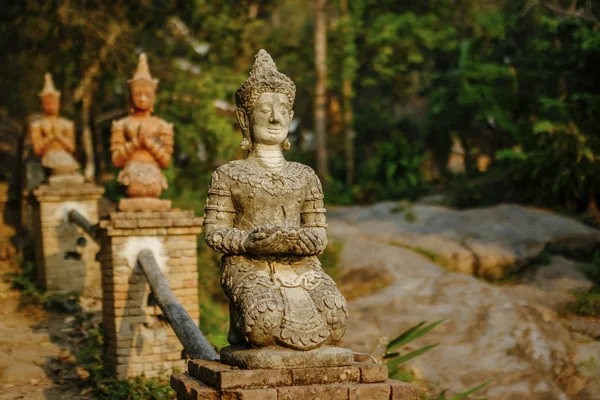 Estatua Buda Con Follaje Voz Alta — Foto de Stock