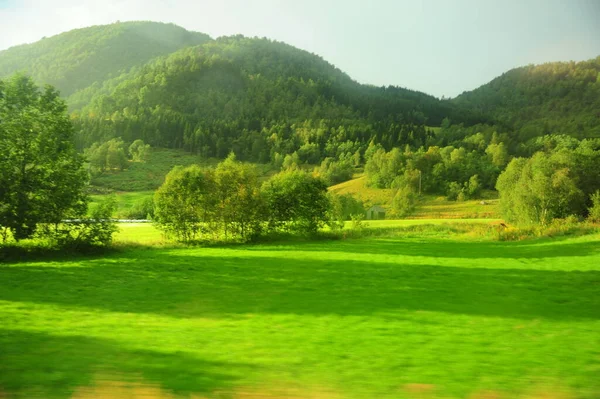 Belleza Montaña Verde Mañana — Foto de Stock