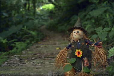 Ormanın önündeki sevimli korkuluk.