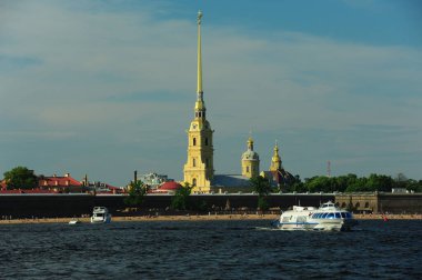 See sighting tour in Neva River