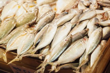 Piyasa tarzında taze balık