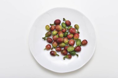 Beyaz tabakta taze kahve çekirdeği.