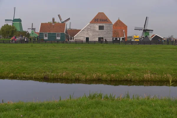 Wiatraki Zaanse Schans Holandia — Zdjęcie stockowe