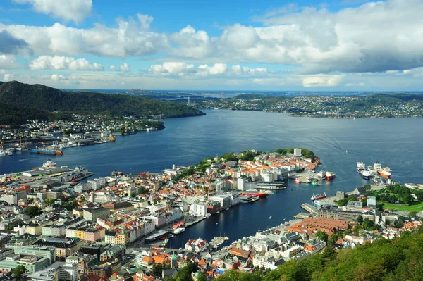 Bird view of Bergen — 图库照片