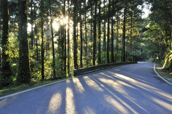 Vista panorámica de la carretera en el bosque en el distrito de Taoyuan — Foto de Stock