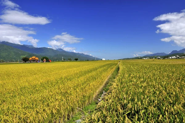 Bauernhof Vor Blauem Himmel Und Weißen Wolken — Stockfoto