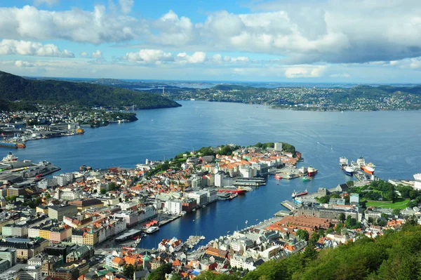 Bird view of Bergen — 图库照片