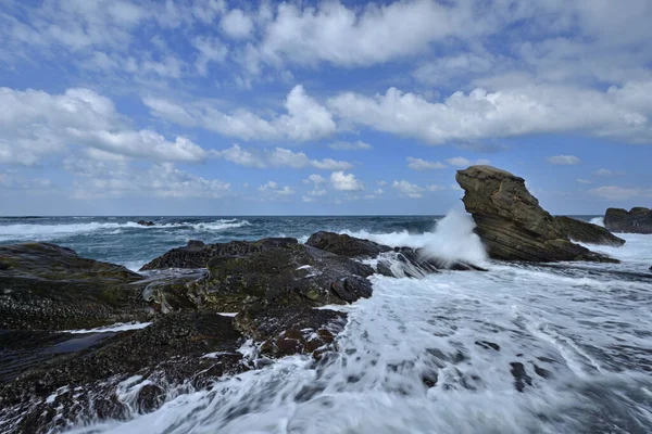 Fur Seal Rock Ruifang Város — Stock Fotó