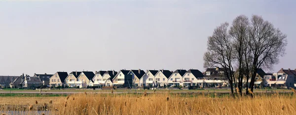 Huizen en veld Nederland — Stockfoto