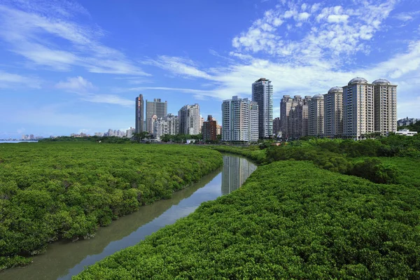 Reserva Natural Mangue Com Fundo Cidade — Fotografia de Stock